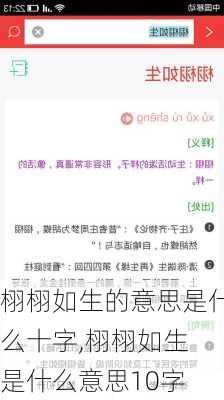 栩栩如生的意思是什么十字,栩栩如生 是什么意思10字