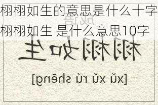 栩栩如生的意思是什么十字,栩栩如生 是什么意思10字