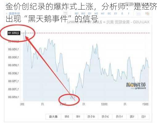 金价创纪录的爆炸式上涨，分析师：是经济出现“黑天鹅事件”的信号