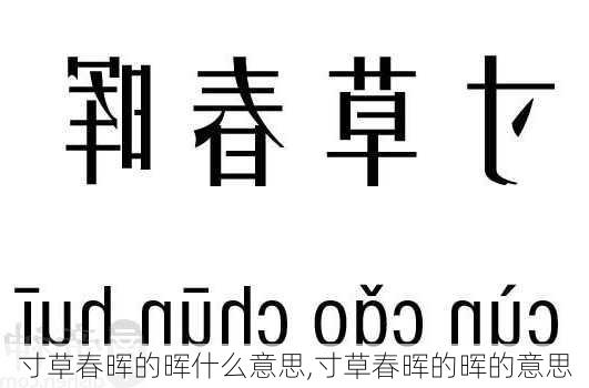 寸草春晖的晖什么意思,寸草春晖的晖的意思