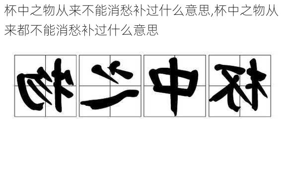 杯中之物从来不能消愁补过什么意思,杯中之物从来都不能消愁补过什么意思