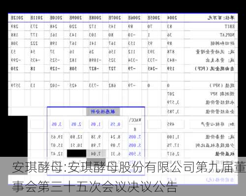 安琪酵母:安琪酵母股份有限公司第九届董事会第三十五次会议决议公告