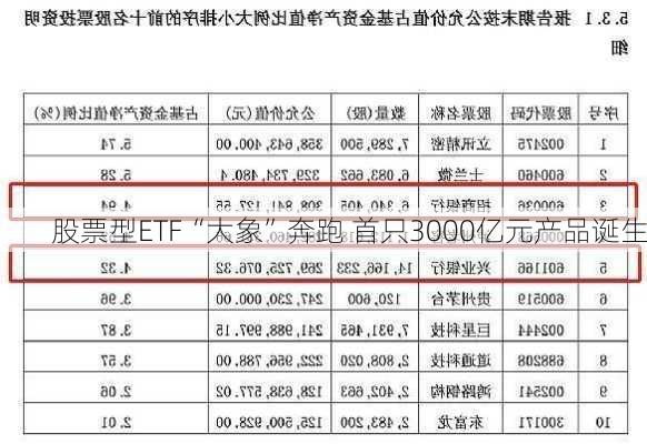 股票型ETF“大象”奔跑 首只3000亿元产品诞生