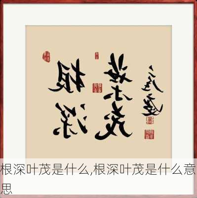 根深叶茂是什么,根深叶茂是什么意思