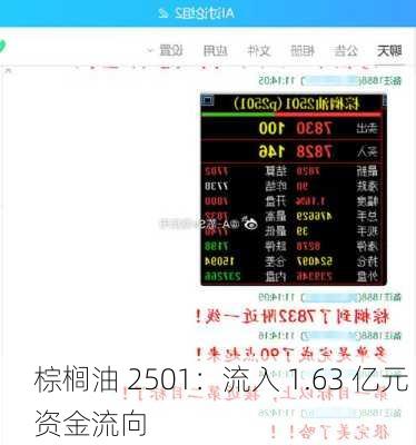 棕榈油 2501：流入 1.63 亿元 资金流向