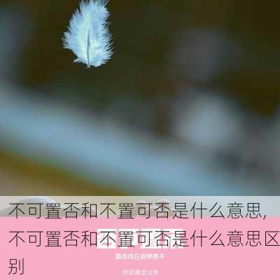 不可置否和不置可否是什么意思,不可置否和不置可否是什么意思区别