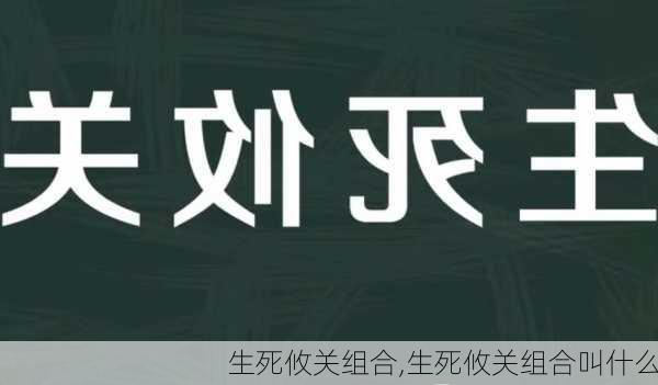 生死攸关组合,生死攸关组合叫什么