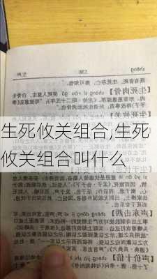 生死攸关组合,生死攸关组合叫什么