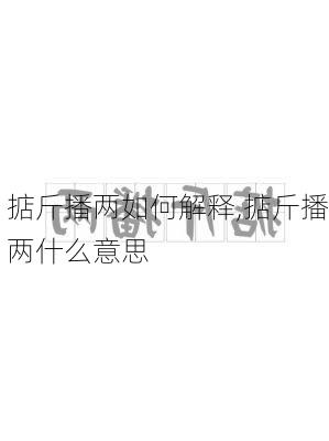 掂斤播两如何解释,掂斤播两什么意思