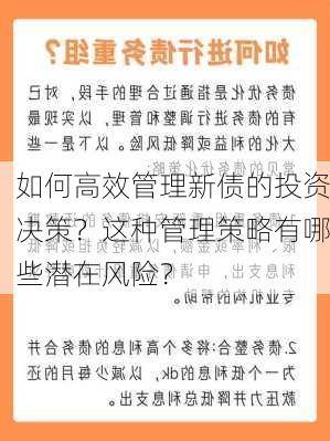 如何高效管理新债的投资决策？这种管理策略有哪些潜在风险？