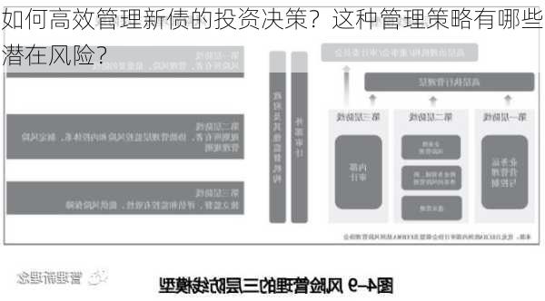 如何高效管理新债的投资决策？这种管理策略有哪些潜在风险？