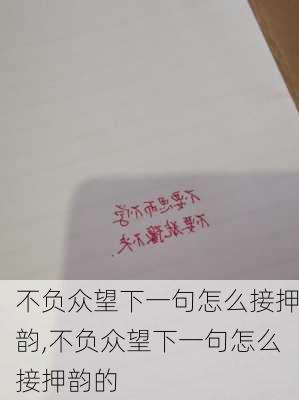 不负众望下一句怎么接押韵,不负众望下一句怎么接押韵的