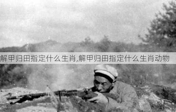 解甲归田指定什么生肖,解甲归田指定什么生肖动物