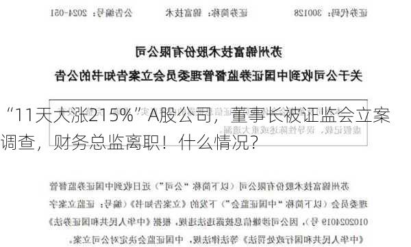 “11天大涨215%”A股公司，董事长被证监会立案调查，财务总监离职！什么情况？