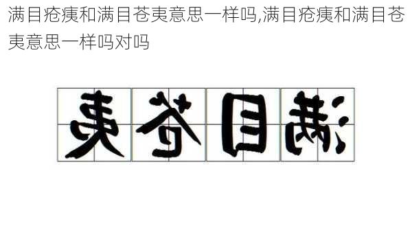 满目疮痍和满目苍夷意思一样吗,满目疮痍和满目苍夷意思一样吗对吗