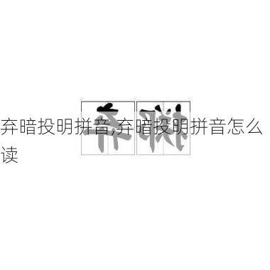 弃暗投明拼音,弃暗投明拼音怎么读