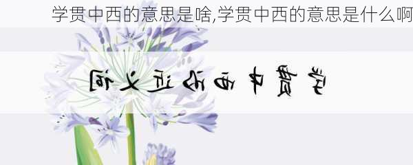 学贯中西的意思是啥,学贯中西的意思是什么啊