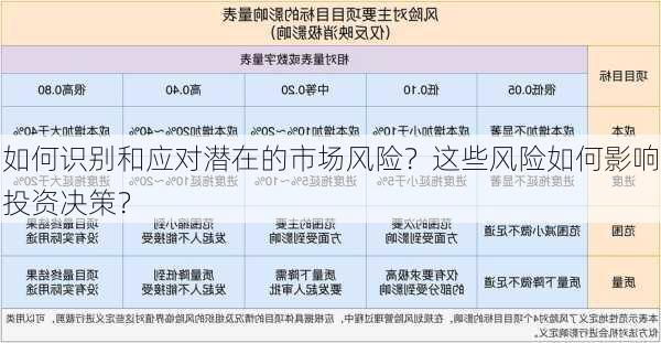 如何识别和应对潜在的市场风险？这些风险如何影响投资决策？