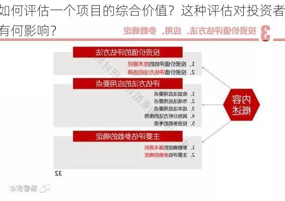 如何评估一个项目的综合价值？这种评估对投资者有何影响？