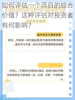 如何评估一个项目的综合价值？这种评估对投资者有何影响？