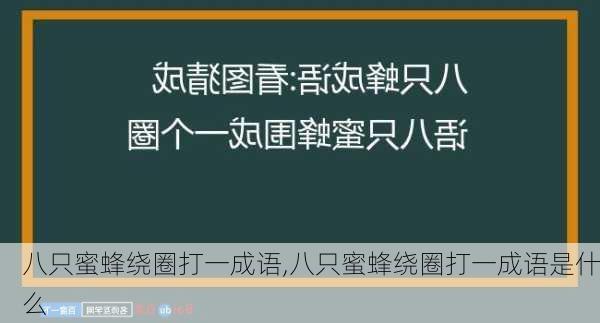 八只蜜蜂绕圈打一成语,八只蜜蜂绕圈打一成语是什么