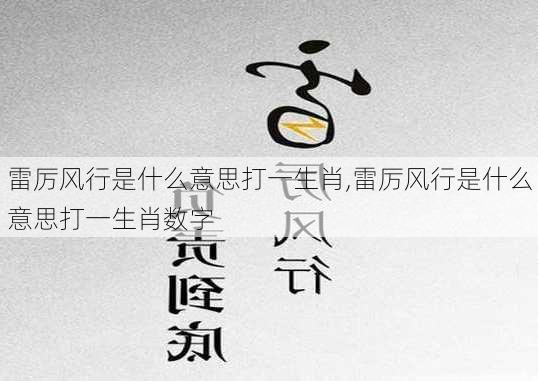 雷厉风行是什么意思打一生肖,雷厉风行是什么意思打一生肖数字