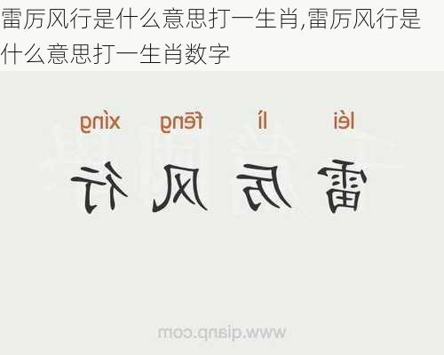 雷厉风行是什么意思打一生肖,雷厉风行是什么意思打一生肖数字