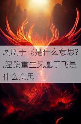 凤凰于飞是什么意思?,涅槃重生凤凰于飞是什么意思