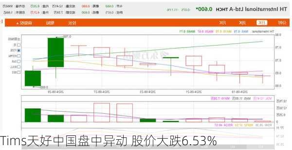 Tims天好中国盘中异动 股价大跌6.53%