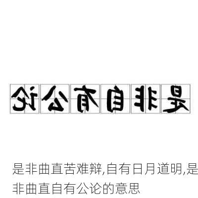 是非曲直苦难辩,自有日月道明,是非曲直自有公论的意思