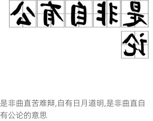 是非曲直苦难辩,自有日月道明,是非曲直自有公论的意思