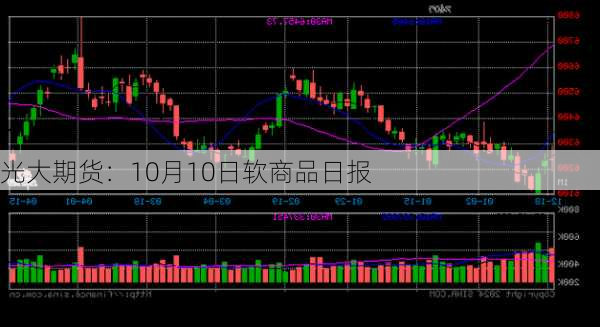 光大期货：10月10日软商品日报