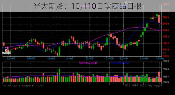 光大期货：10月10日软商品日报