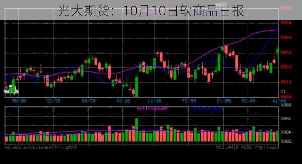 光大期货：10月10日软商品日报