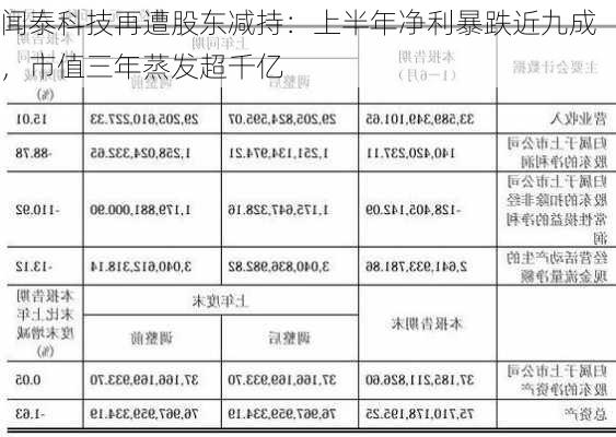 闻泰科技再遭股东减持：上半年净利暴跌近九成，市值三年蒸发超千亿