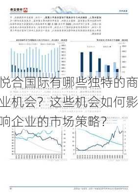 悦合国际有哪些独特的商业机会？这些机会如何影响企业的市场策略？