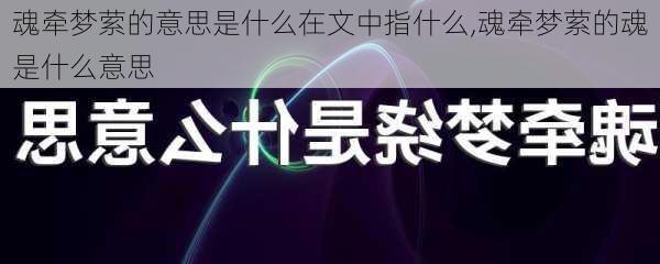 魂牵梦萦的意思是什么在文中指什么,魂牵梦萦的魂是什么意思