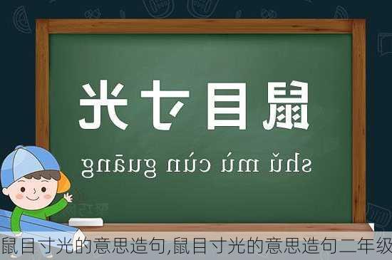 鼠目寸光的意思造句,鼠目寸光的意思造句二年级