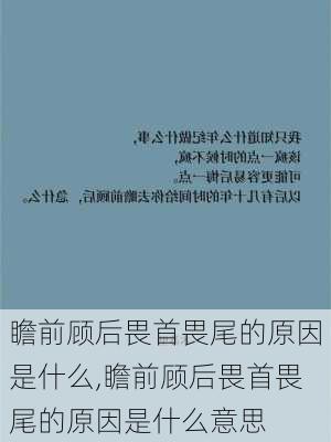 瞻前顾后畏首畏尾的原因是什么,瞻前顾后畏首畏尾的原因是什么意思