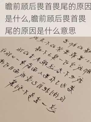 瞻前顾后畏首畏尾的原因是什么,瞻前顾后畏首畏尾的原因是什么意思