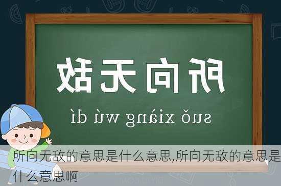 所向无敌的意思是什么意思,所向无敌的意思是什么意思啊