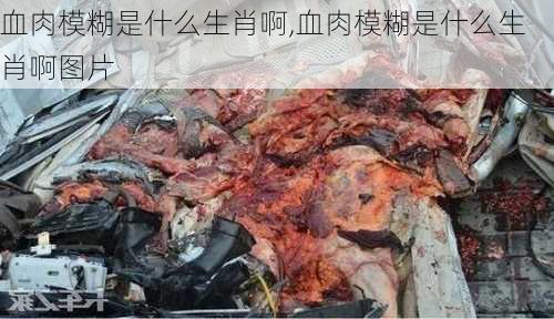 血肉模糊是什么生肖啊,血肉模糊是什么生肖啊图片