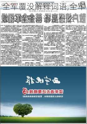 全军覆没解释词语,全军覆没解释词语是什么