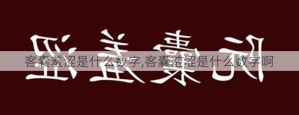 客囊羞涩是什么数字,客囊羞涩是什么数字啊