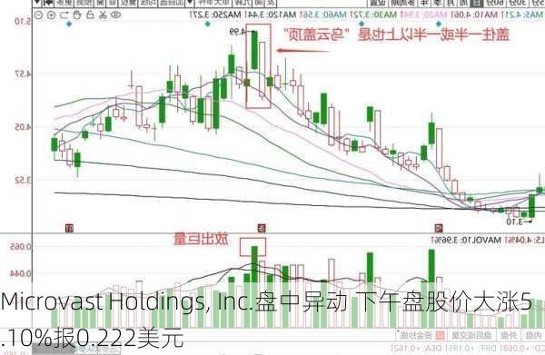 Microvast Holdings, Inc.盘中异动 下午盘股价大涨5.10%报0.222美元