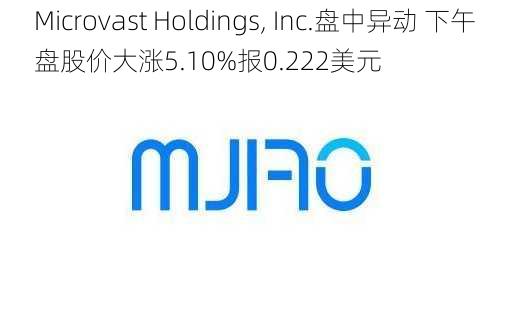 Microvast Holdings, Inc.盘中异动 下午盘股价大涨5.10%报0.222美元