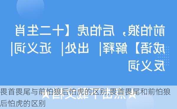 畏首畏尾与前怕狼后怕虎的区别,畏首畏尾和前怕狼后怕虎的区别