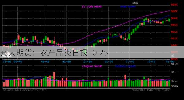 光大期货：农产品类日报10.25