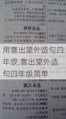 用喜出望外造句四年级,喜出望外造句四年级简单