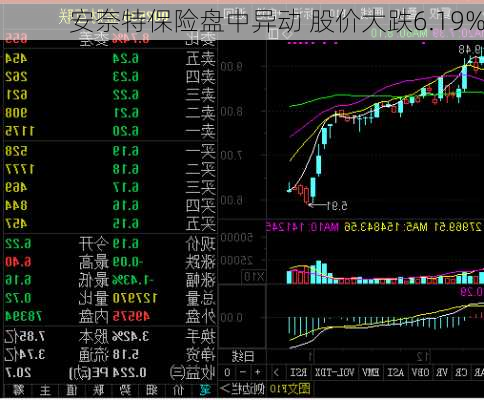 安奈特保险盘中异动 股价大跌6.19%